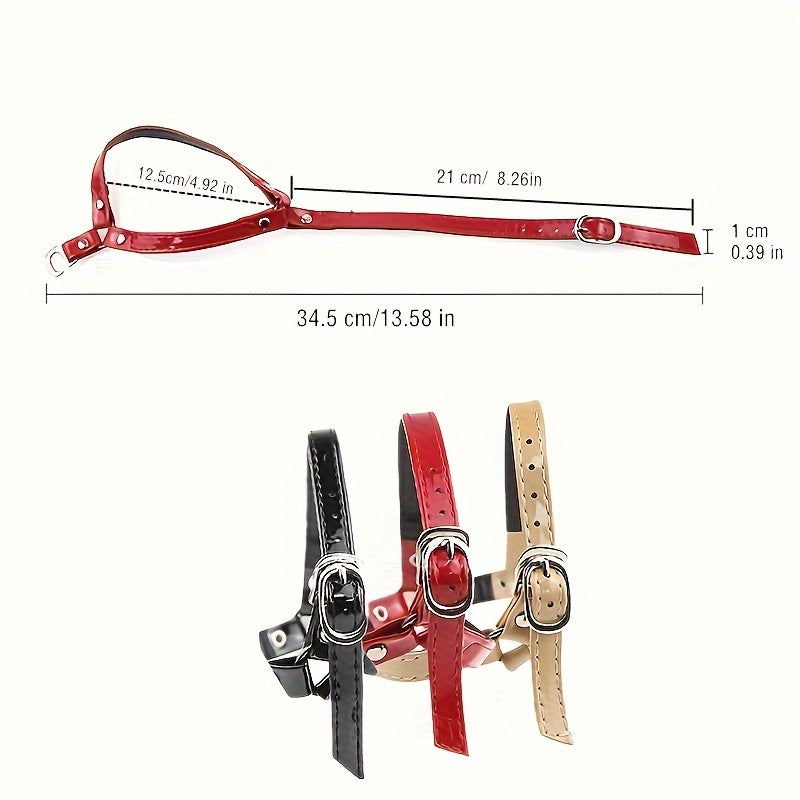 Detachable High Heels Shoelace Holder 2pcs Adjustable High Heels Bundle Shoelace Holding Loose Anti-skid Straps Detachable Women Lace Shoes Bands Shoe Care Kit